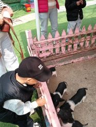 -萌宠亲子动物乐园(槐房万达店)