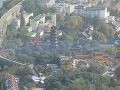 -紫峰大厦