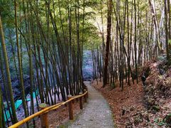 -藏龙百瀑风景区