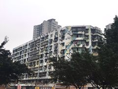 -四川美术学院美术馆