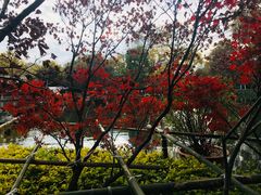 -陆军讲武堂旧址