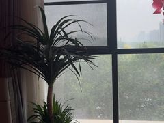 -鸽子侯·家宴·平价海鲜(绿地店)
