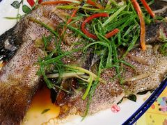 -友强·23年特色海鲜大排档(厦门店)