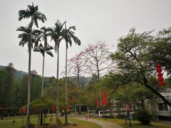 -广州市白云山风景名胜区