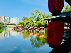 -侨美·唐荔园·40年地道粤菜