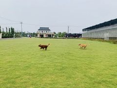 -菊园百果园