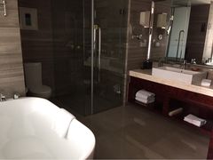 环球恐龙城维景国际大酒店-常州环球恐龙城维景国际大酒店
