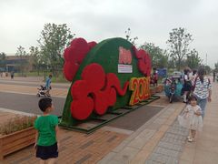 -九龙湖公园