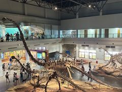 -自贡恐龙博物馆