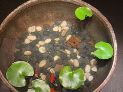 -曲水兰亭(北京四惠店)