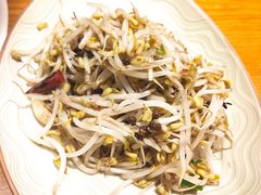 炝炒绿豆芽-丹江渔村(望京店)