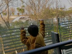 -上海滴水湖皇冠假日酒店