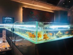 -黄鱼炙夜(华家池店)