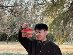 -洛阳市隋唐城遗址植物园
