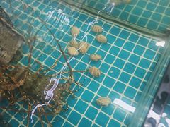 -瑶记海鲜餐厅(西涌店)