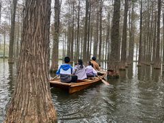-渌洋湖湿地公园