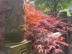 -南京市江宁方山