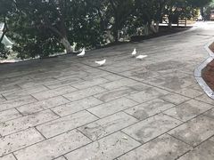 -南昌动物园