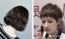 -芳琪造型