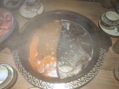 -肚社毛肚火锅