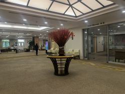 -北京明德医院