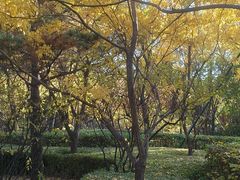 -迎泽公园