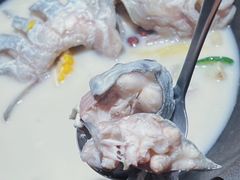 -鲜潭蒸汽石锅鱼(五道口购物中心店)