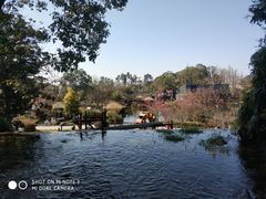 -成飞公园
