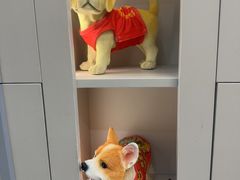 -唐小姐の私宠·宠物洗护美容·撸猫馆·购宠(周浦万达旗舰店)