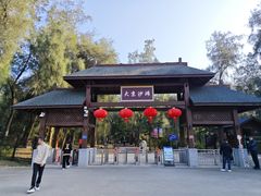 -大京沙滩