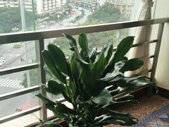 -维也纳国际酒店·广西桂林中山路店