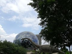 -陕西自然博物馆