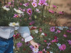 -南沙蒲洲花园