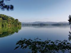 -广州市流溪河国家森林公园