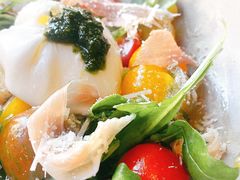 布拉塔芝士蔬菜沙拉-the rug 飞毯 (朝阳公园店)