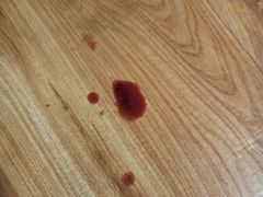 -瑞派雷欧宠物医院·24h夜诊·心脏骨科牙科·全科重症转诊中心(无影山店)