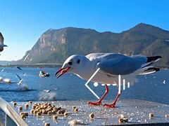 -海埂大坝