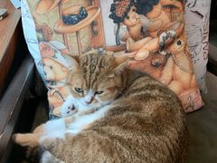 -咖法森林·咖啡  酒吧(天河店)