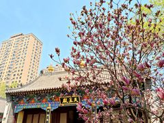 -护国法轮寺