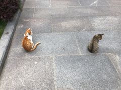 -陆家嘴世纪金融广场