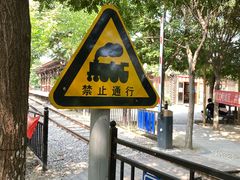 -西青郊野公园