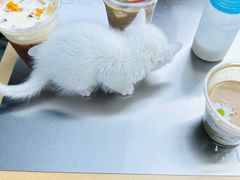 -HUGS coffee(东区店)