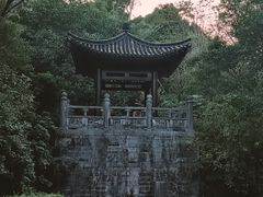 -深圳国际园林花卉博览园