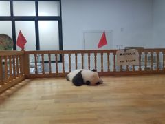 -邓记新一代糖油果子(四川煤管局供销公司职工宿舍店)
