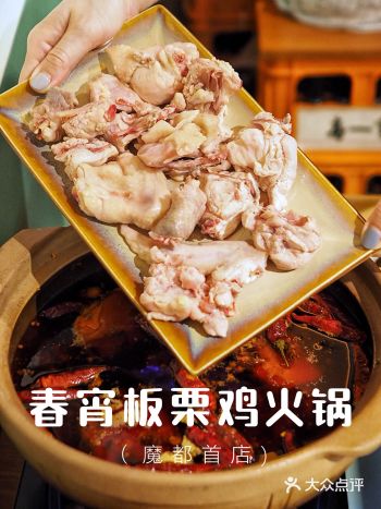 魔都探店|人均100品尝神仙板栗鸡…