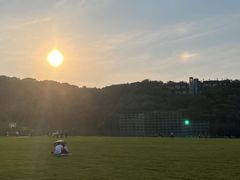-羊山湖公园