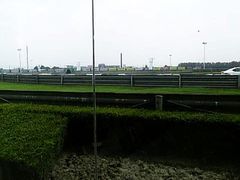 -天马赛车场