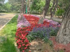 -长春市南湖公园