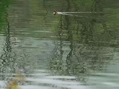 -紫霞湖公园