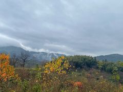 -塔川景区